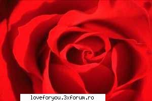 Sentimental...... - Credinta face totul posibil; dragostea face totul - Citate de dragoste